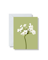 Blank Card, White Garlic Flower