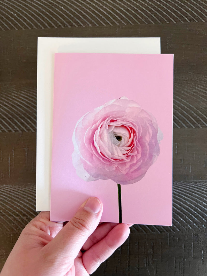 Blank Card, Pink Ranunculus