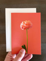 Blank Card, Orange Ranunculus