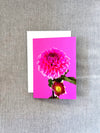 Blank Card, Pink Dahlia