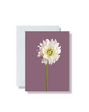 Boxed Set of 5 Blank Cards, Summer Bunch
