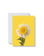 Blank Card, White & Yellow Dahlia