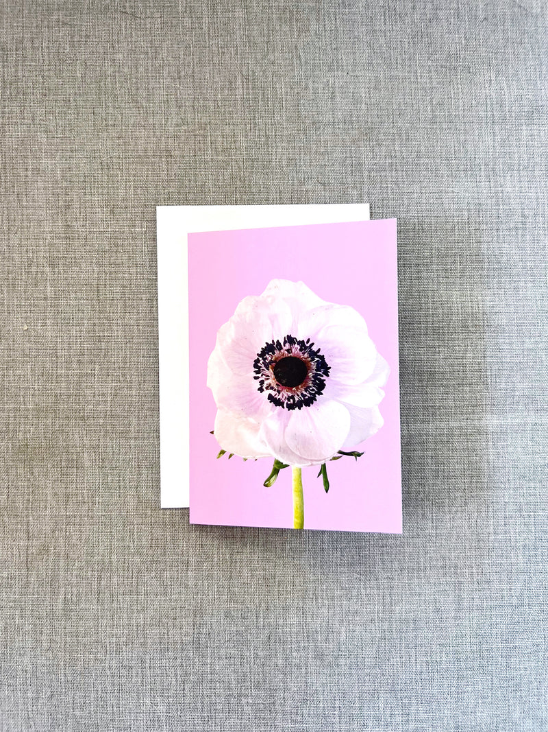 Blank Card, White Anemone