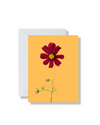 Boxed Set of 5 Blank Cards, Summer Bunch