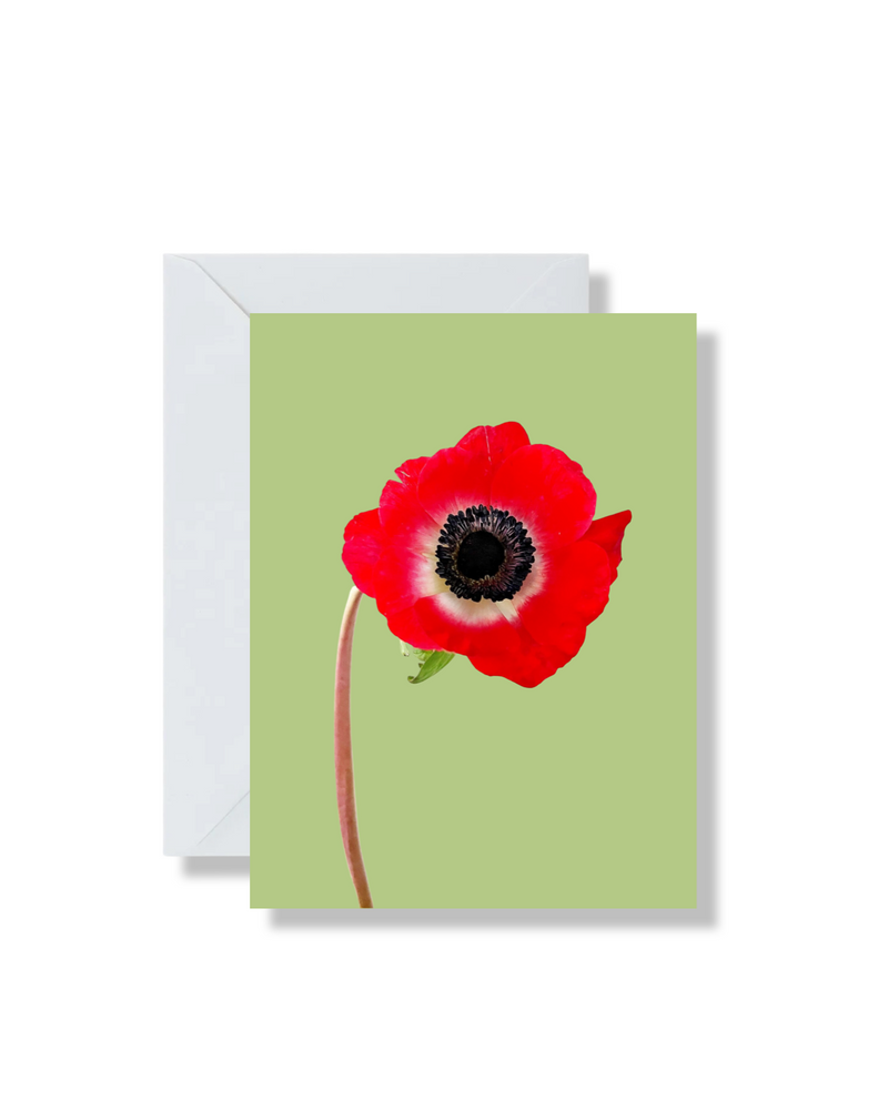 Boxed Set of 5 Blank Cards, Anemone & Ranunculus Bunch