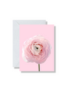 Boxed Set of 5 Blank Cards, Anemone & Ranunculus Bunch