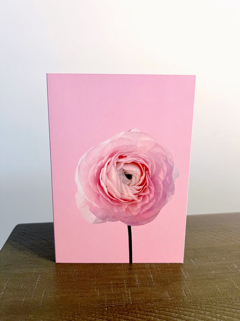 Blank Card, Pink Ranunculus