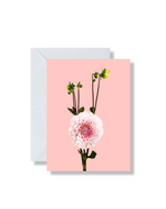 Boxed Set of 5 Blank Cards, Peony & Dahlia Bunch