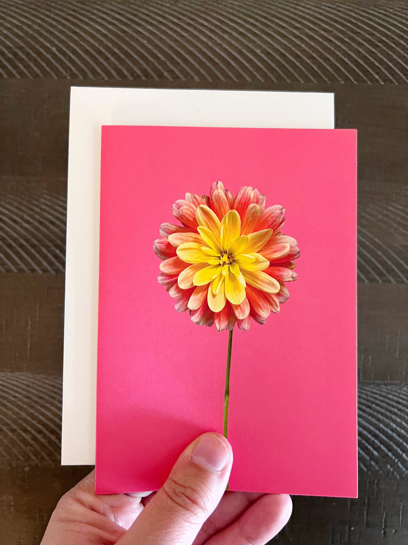 Blank Card, Peach & Yellow Dahlia