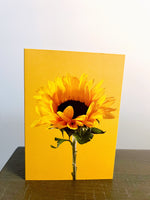 Blank Card, Yellow Sunflower